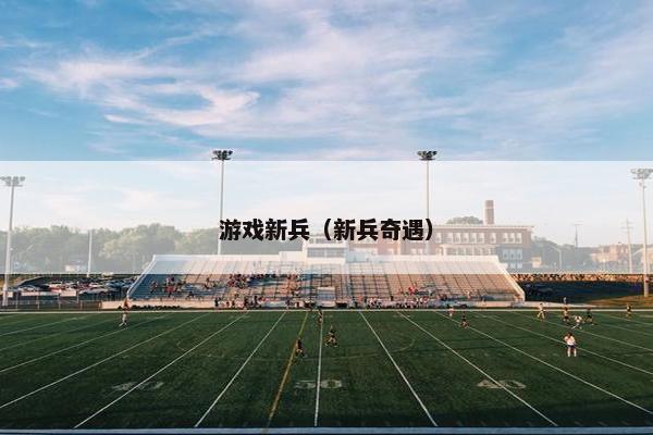 游戏新兵（新兵奇遇）
