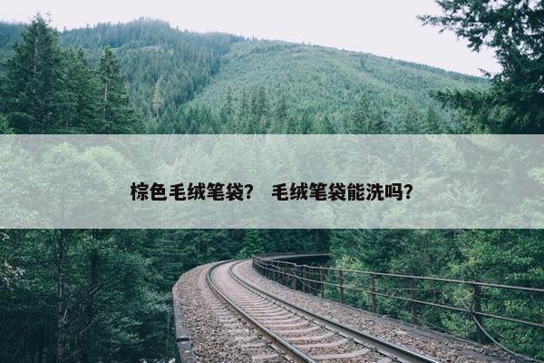 棕色毛绒笔袋？ 毛绒笔袋能洗吗？