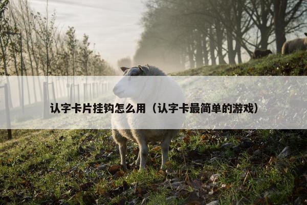 认字卡片挂钩怎么用（认字卡最简单的游戏）