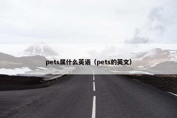 pets属什么英语（pets的英文）