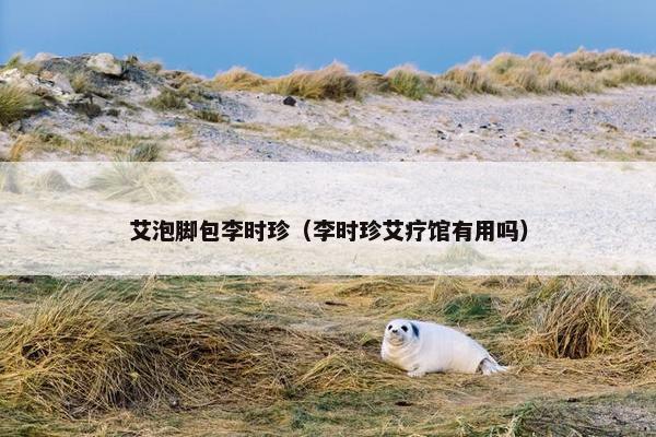艾泡脚包李时珍（李时珍艾疗馆有用吗）