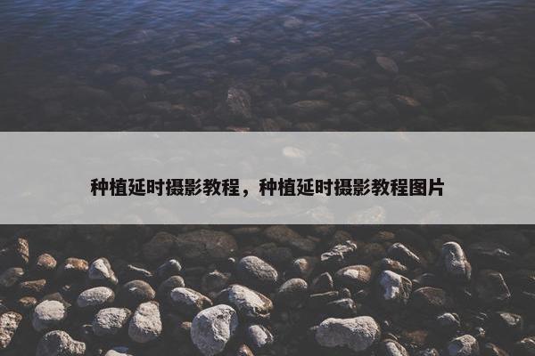 种植延时摄影教程，种植延时摄影教程图片