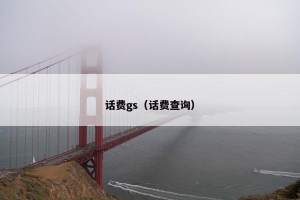 话费gs（话费查询）