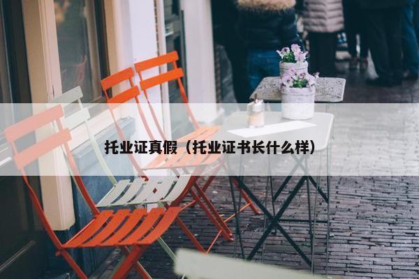 托业证真假（托业证书长什么样）