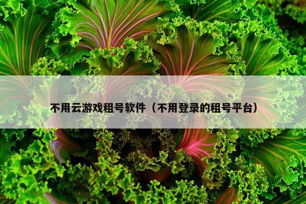 不用云游戏租号软件（不用登录的租号平台）