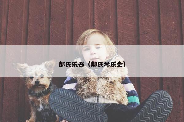 郝氏乐器（郝氏琴乐会）