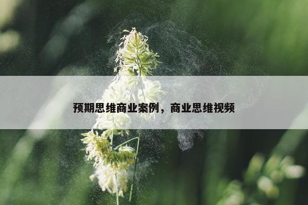 预期思维商业案例，商业思维视频