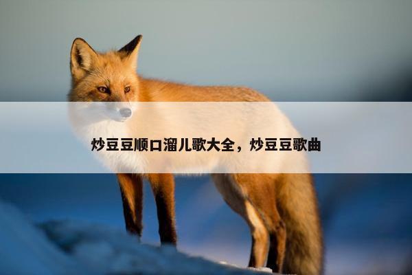 炒豆豆顺口溜儿歌大全，炒豆豆歌曲