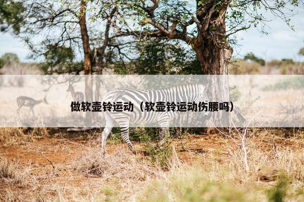做软壶铃运动（软壶铃运动伤腰吗）