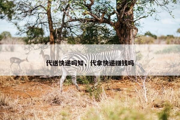 代送快递吗知，代拿快递赚钱吗