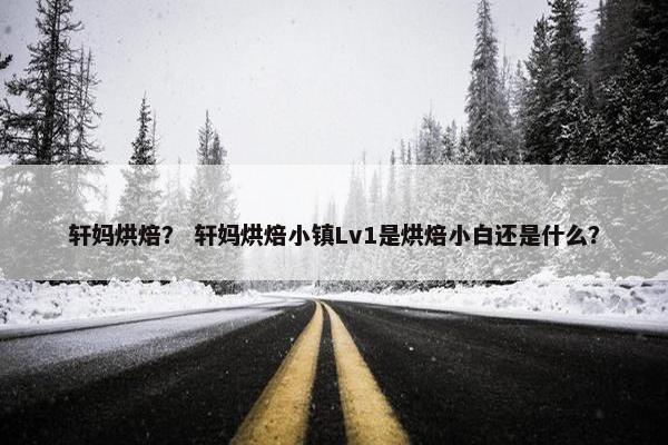 轩妈烘焙？ 轩妈烘焙小镇Lv1是烘焙小白还是什么？