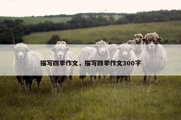 描写四季作文，描写四季作文300字