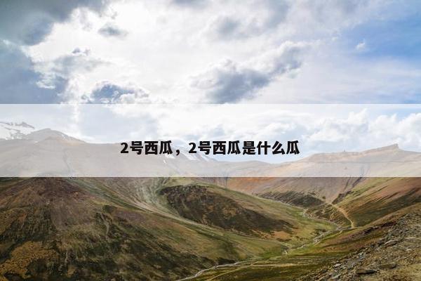 2号西瓜，2号西瓜是什么瓜