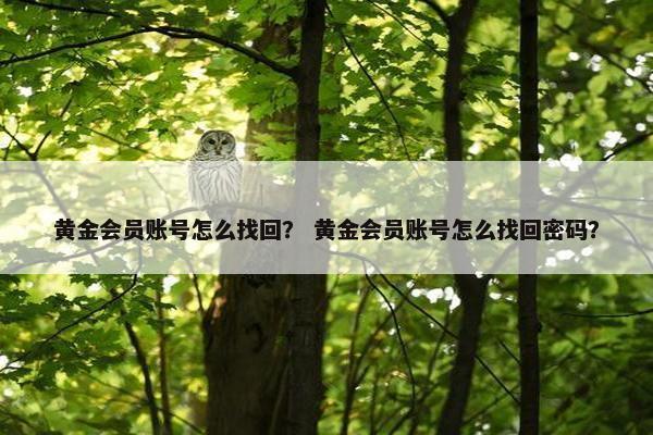 黄金会员账号怎么找回？ 黄金会员账号怎么找回密码？