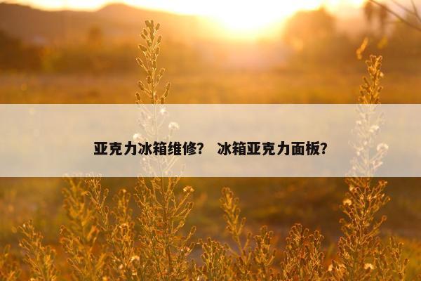 亚克力冰箱维修？ 冰箱亚克力面板？