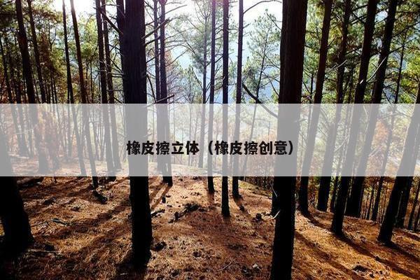 橡皮擦立体（橡皮擦创意）