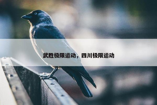 武胜极限运动，四川极限运动