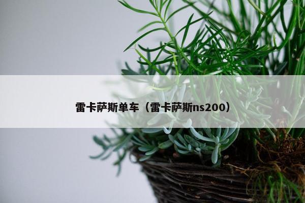 雷卡萨斯单车（雷卡萨斯ns200）