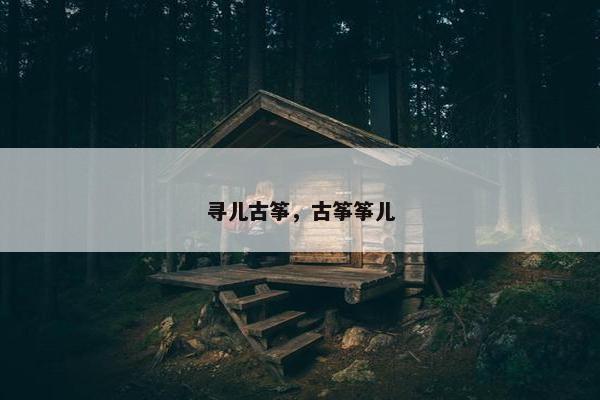 寻儿古筝，古筝筝儿