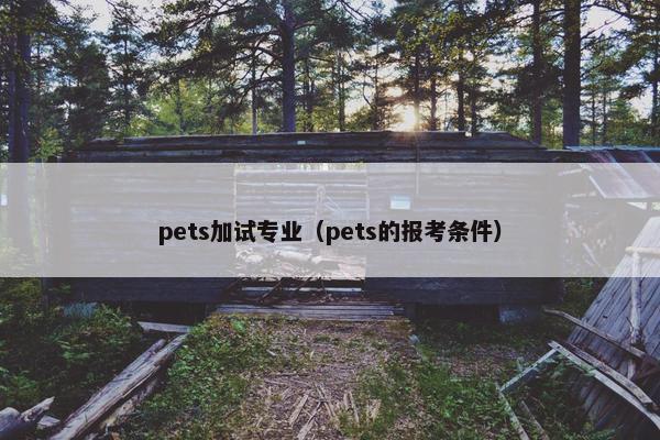 pets加试专业（pets的报考条件）