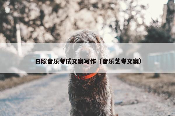 日照音乐考试文案写作（音乐艺考文案）