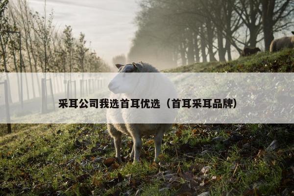 采耳公司我选首耳优选（首耳采耳品牌）