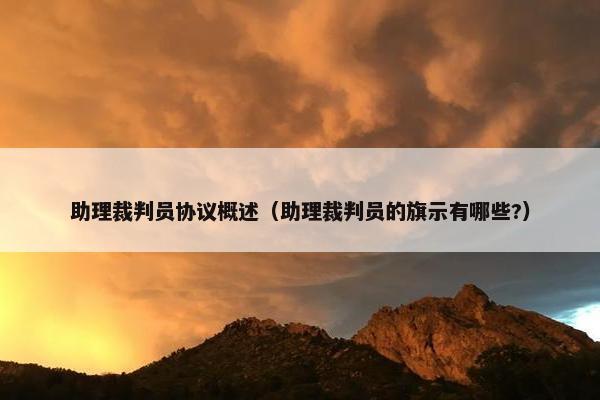 助理裁判员协议概述（助理裁判员的旗示有哪些?）