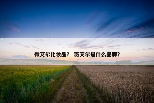 微艾尔化妆品？ 薇艾尔是什么品牌？