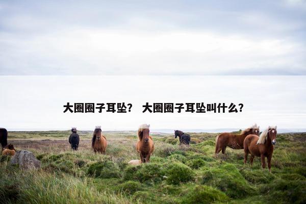 大圈圈子耳坠？ 大圈圈子耳坠叫什么？
