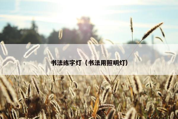 书法练字灯（书法用照明灯）