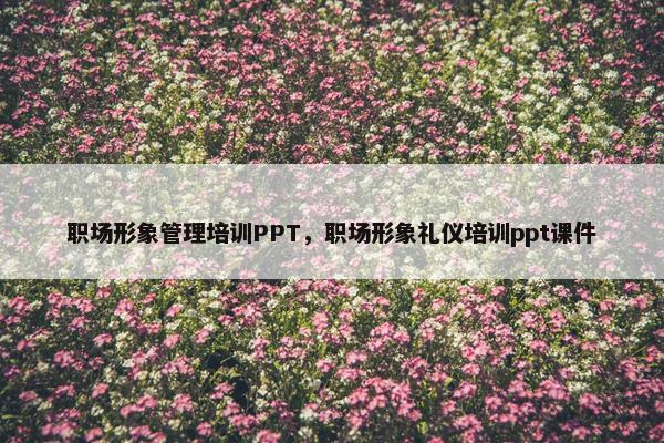 职场形象管理培训PPT，职场形象礼仪培训ppt课件