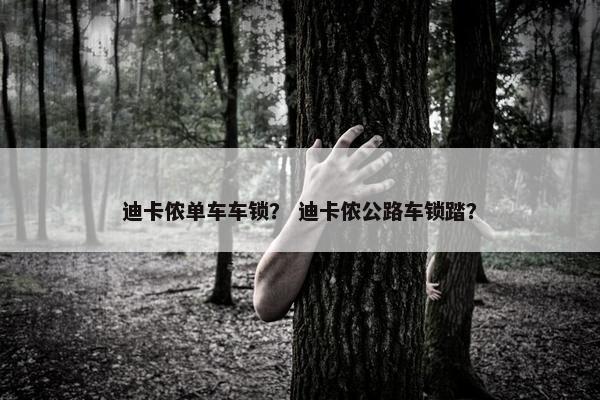 迪卡侬单车车锁？ 迪卡侬公路车锁踏？