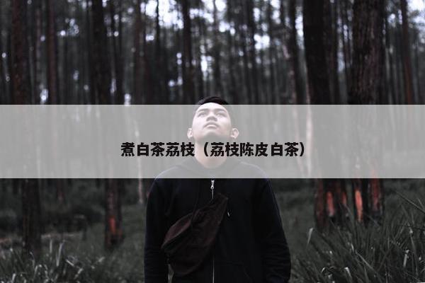 煮白茶荔枝（荔枝陈皮白茶）