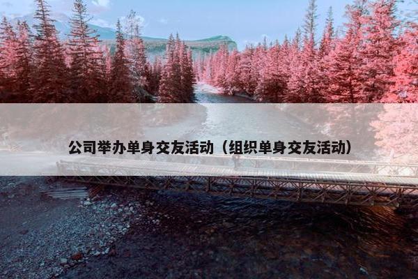 公司举办单身交友活动（组织单身交友活动）