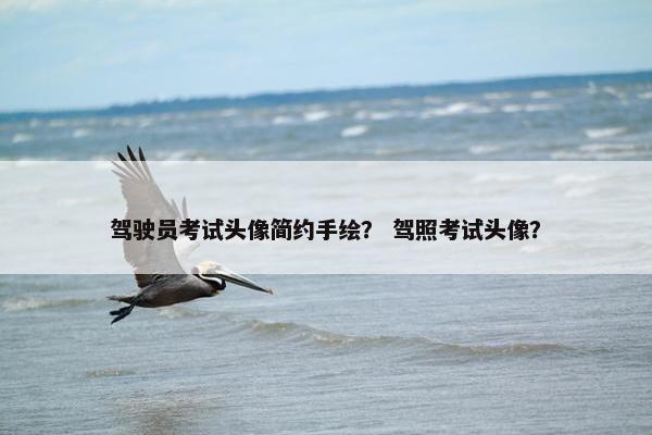 驾驶员考试头像简约手绘？ 驾照考试头像？