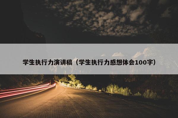 学生执行力演讲稿（学生执行力感想体会100字）