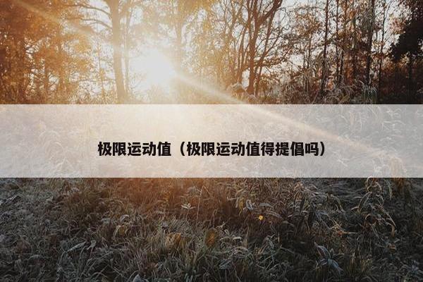 极限运动值（极限运动值得提倡吗）