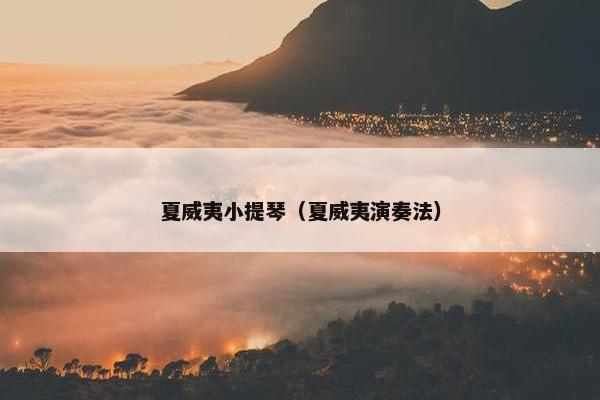 夏威夷小提琴（夏威夷演奏法）
