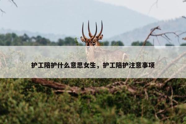 护工陪护什么意思女生，护工陪护注意事项