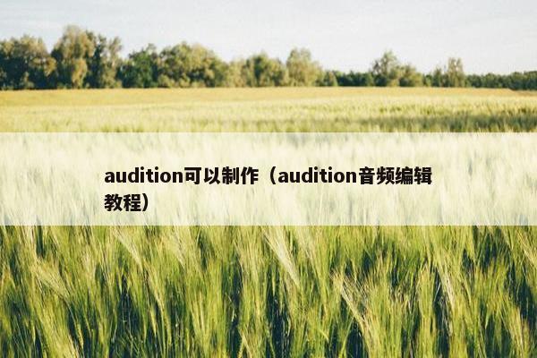 audition可以制作（audition音频编辑教程）