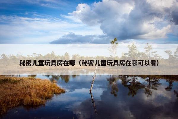 秘密儿童玩具房在哪（秘密儿童玩具房在哪可以看）