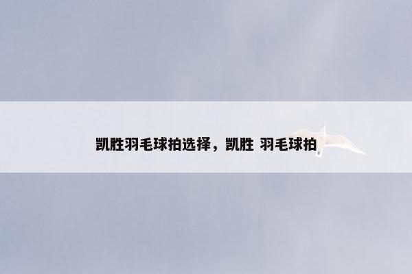 凯胜羽毛球拍选择，凯胜 羽毛球拍