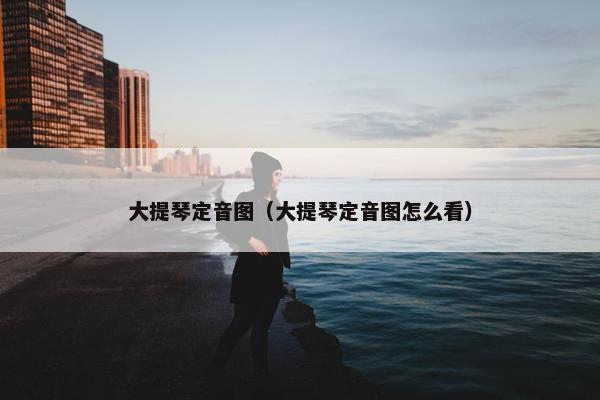 大提琴定音图（大提琴定音图怎么看）