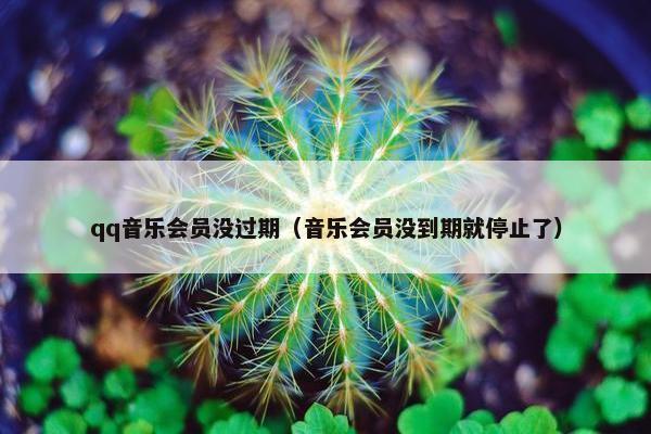 qq音乐会员没过期（音乐会员没到期就停止了）