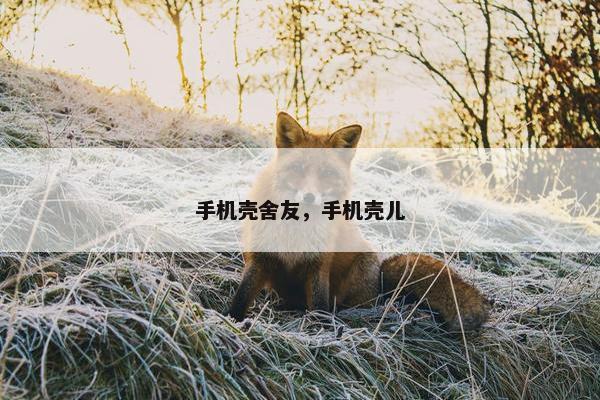 手机壳舍友，手机壳儿