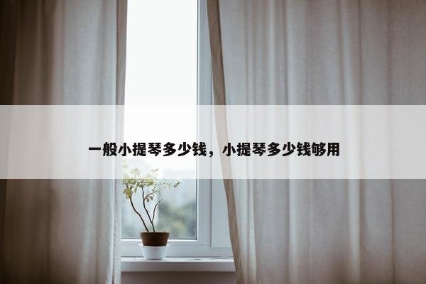 一般小提琴多少钱，小提琴多少钱够用