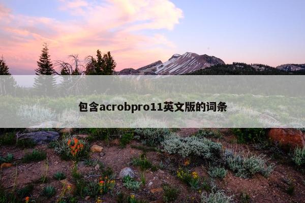 包含acrobpro11英文版的词条