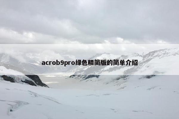 acrob9pro绿色精简版的简单介绍