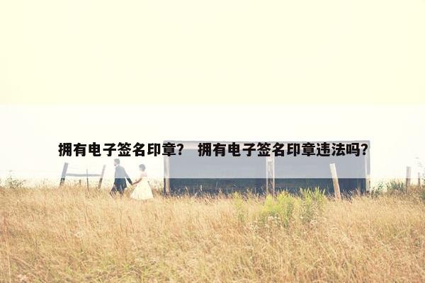 拥有电子签名印章？ 拥有电子签名印章违法吗？