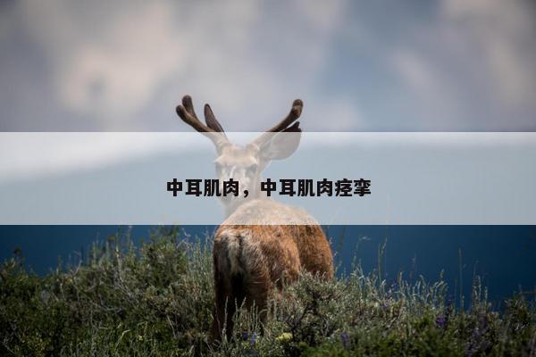 中耳肌肉，中耳肌肉痉挛
